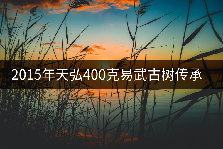 2015年天弘400克易武古樹傳承熟茶上市 2015年天弘400克易武古樹傳承熟茶上市