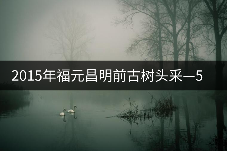 2015年福元昌明前古樹(shù)頭采—500年古樹(shù)攸樂(lè) 2015年福元昌明前古樹(shù)頭采—500年古樹(shù)攸樂(lè)