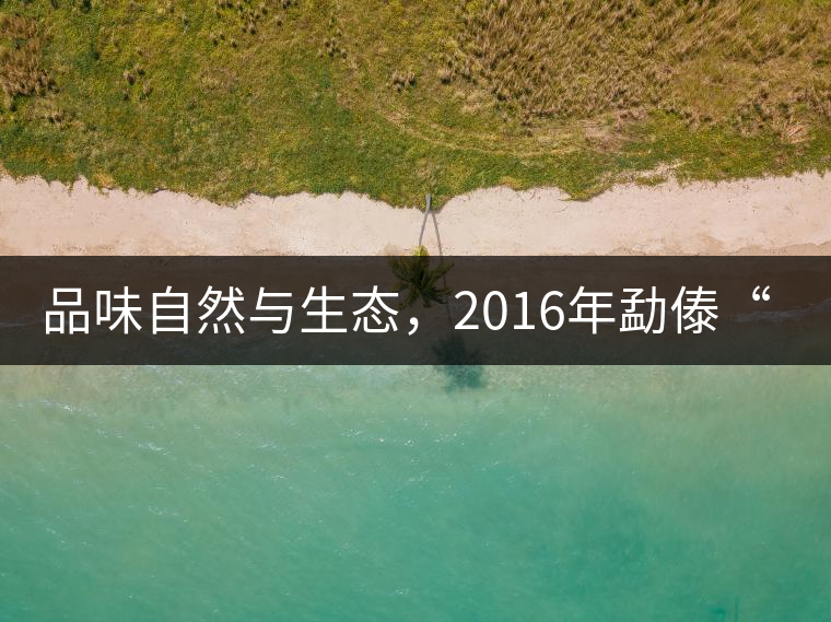 品味自然與生態(tài)，2016年勐傣“大雪山古樹茶”