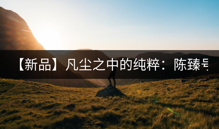 【新品】凡塵之中的純粹:陳臻號2016年精品青餅即將上市! 【新品】凡塵之中的純粹:陳臻號2016年精品青餅即將上市!