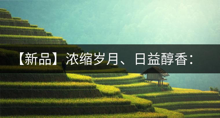 【新品】濃縮歲月、日益醇香：陳臻號陳品熟餅即將上市！