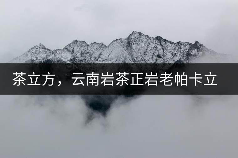 茶立方，云南巖茶正巖老帕卡立方磚今日芳香出爐