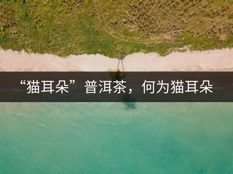 “貓耳朵”普洱茶，何為貓耳朵？