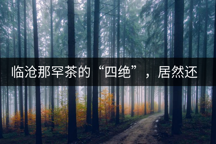 臨滄那罕茶的“四絕”，居然還沒說到它的品質(zhì)