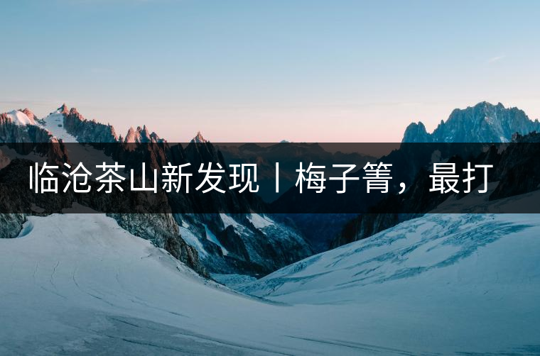 臨滄茶山新發(fā)現(xiàn)丨梅子箐，最打動自己的茶山