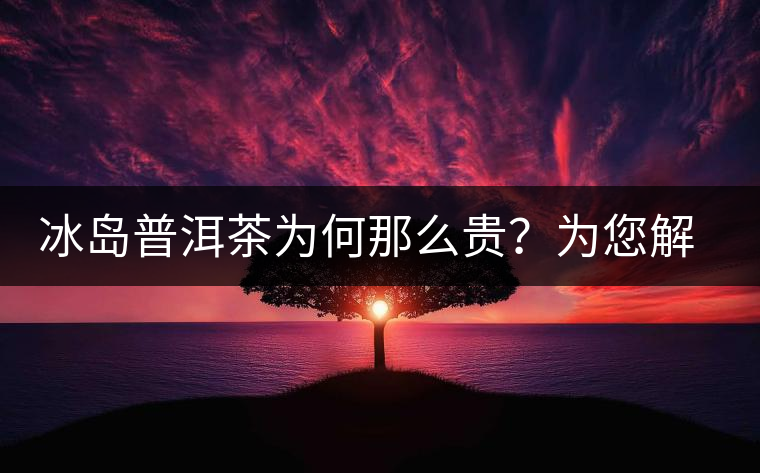 冰島普洱茶為何那么貴？為您解析其中的原由