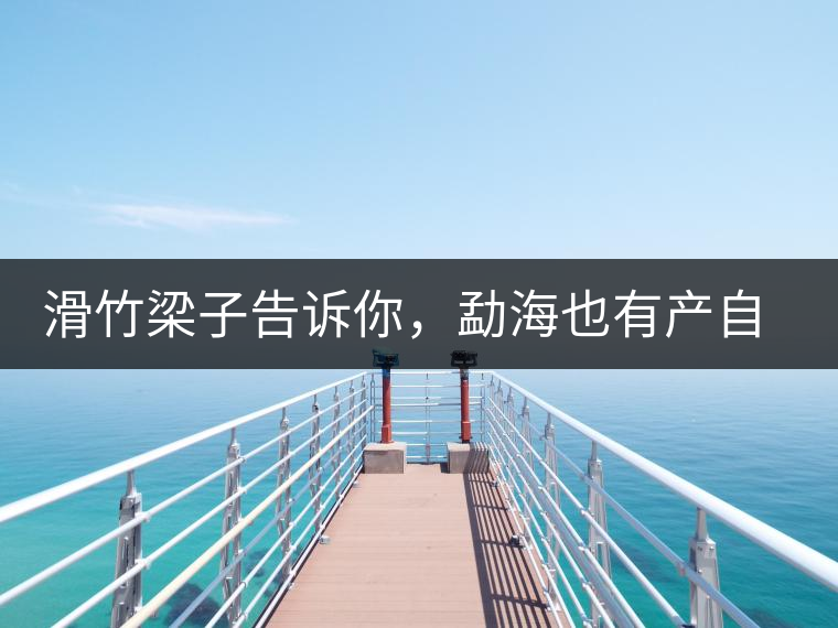 滑竹梁子告訴你，勐海也有產(chǎn)自國(guó)有林里的好茶！