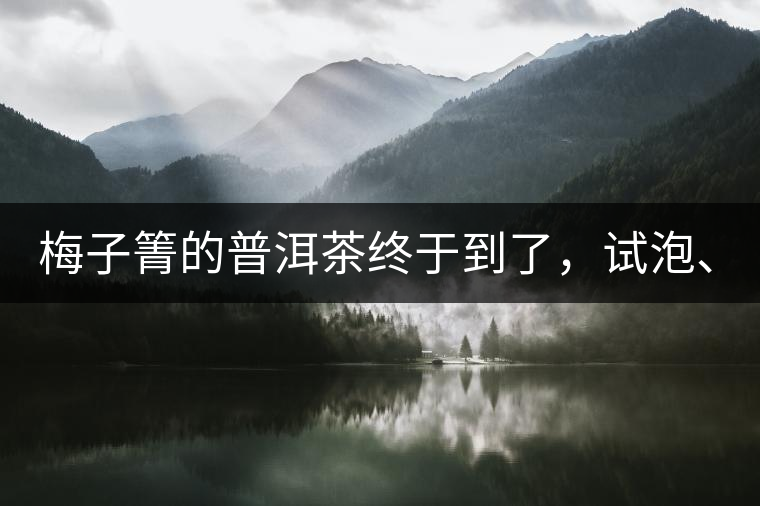梅子箐的普洱茶終于到了，試泡、、、