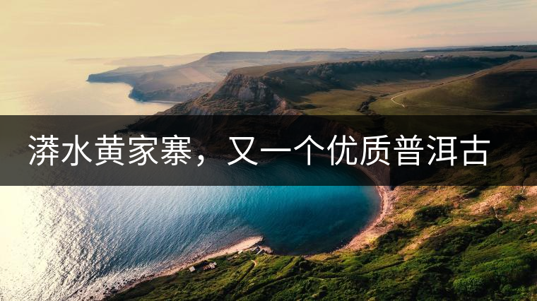 漭水黃家寨，又一個優(yōu)質普洱古樹群落