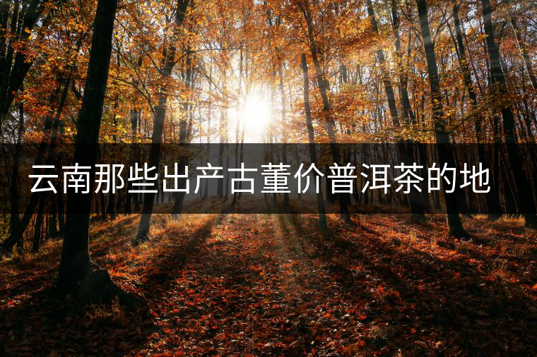 云南那些出產(chǎn)古董價(jià)普洱茶的地方，風(fēng)景如畫(huà)！