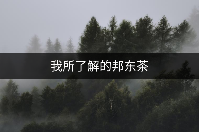 我所了解的邦東茶