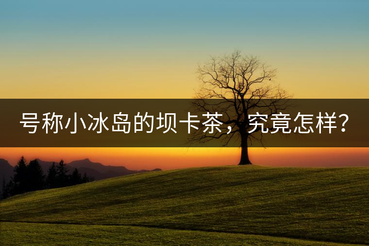 號(hào)稱小冰島的壩卡茶，究竟怎樣？