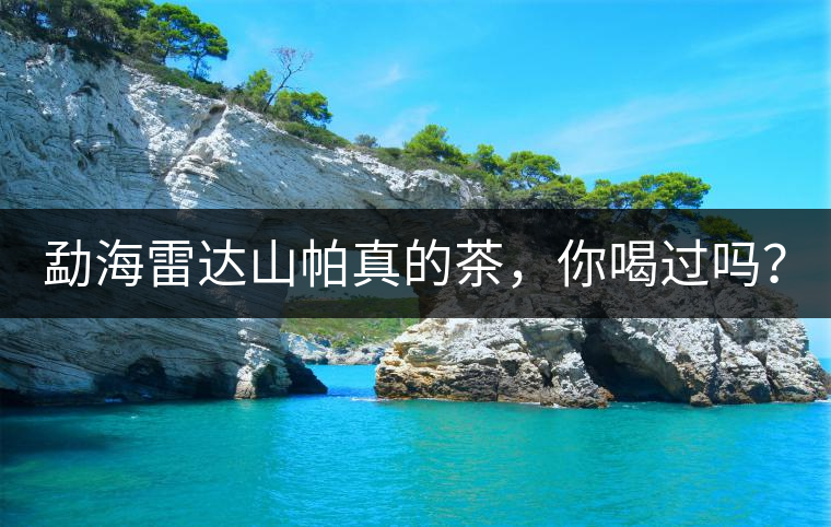 勐海雷達(dá)山帕真的茶，你喝過(guò)嗎？