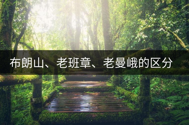 布朗山、老班章、老曼峨的區(qū)分和鑒別