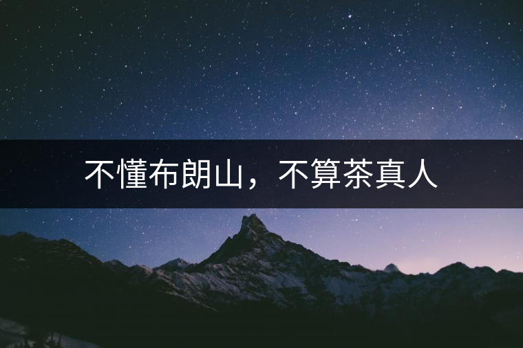 不懂布朗山，不算茶真人