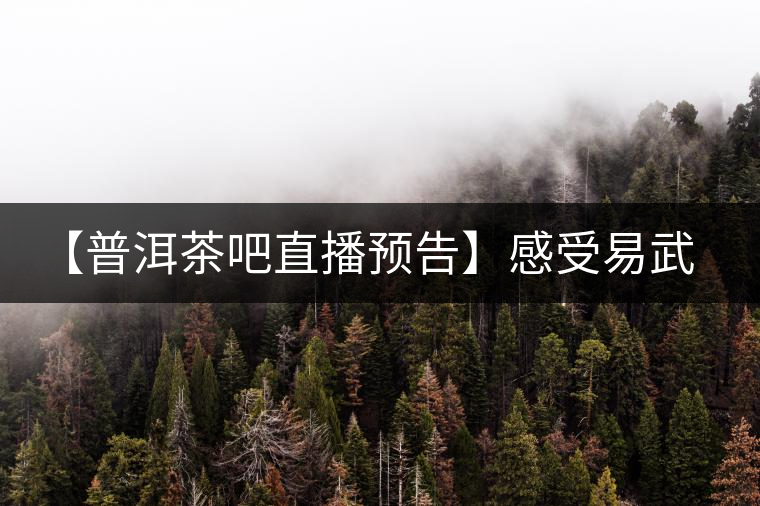 【普洱茶吧直播預(yù)告】感受易武刮風(fēng)寨普洱茶的轉(zhuǎn)化(第十四期) 【普洱茶吧直播預(yù)告】感受易武刮風(fēng)寨普洱茶的轉(zhuǎn)化(第十四期)