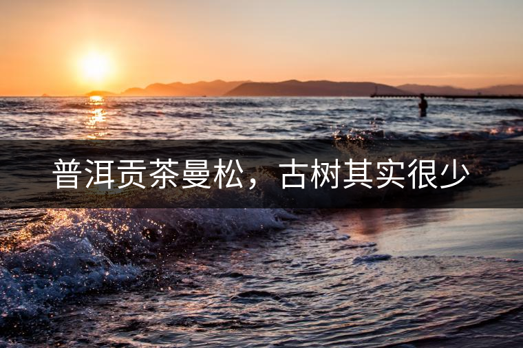 普洱貢茶曼松，古樹(shù)其實(shí)很少