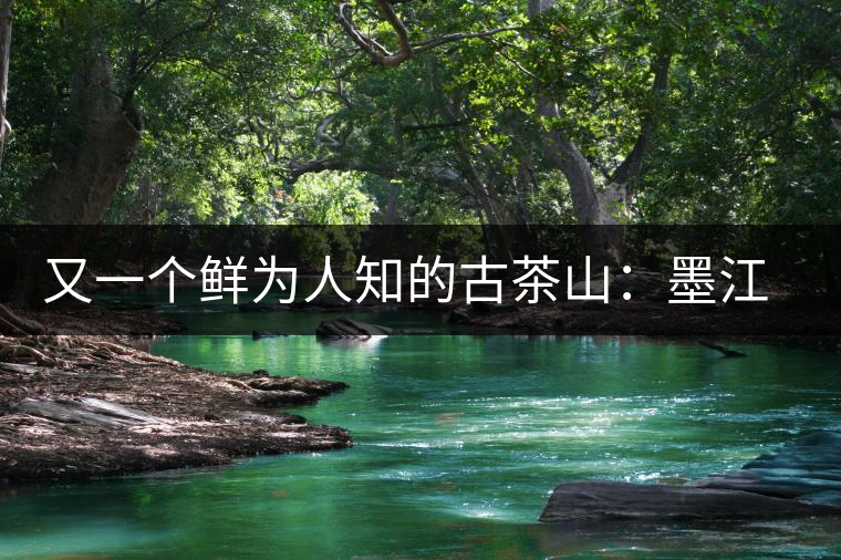 又一個(gè)鮮為人知的古茶山：墨江須立貢茶