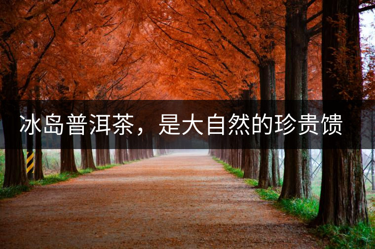 冰島普洱茶，是大自然的珍貴饋贈