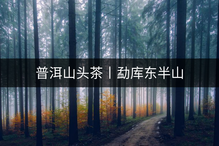 普洱山頭茶丨勐庫(kù)東半山 普洱山頭茶丨勐庫(kù)東半山