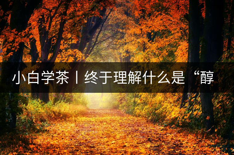 小白學(xué)茶丨終于理解什么是“醇厚、耐泡，回甘”了