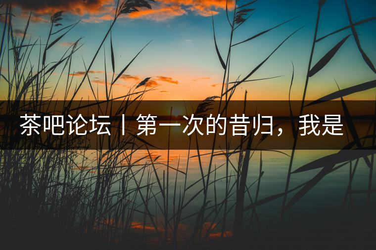 茶吧論壇丨第一次的昔歸，我是這樣喝到的