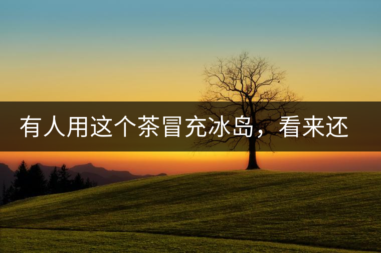 有人用這個(gè)茶冒充冰島，看來還是有幾分道理