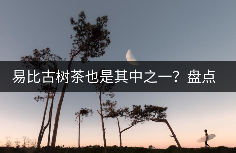易比古樹茶也是其中之一？盤點當下易武最火的十大古樹茶！