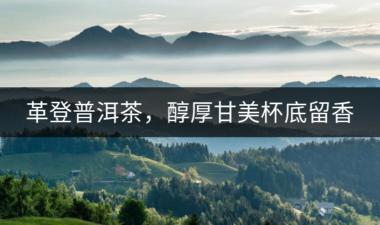 革登普洱茶，醇厚甘美杯底留香