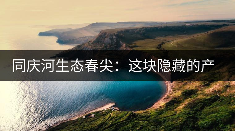 同慶河生態(tài)春尖：這塊隱藏的產(chǎn)茶圣地，你知道嗎？