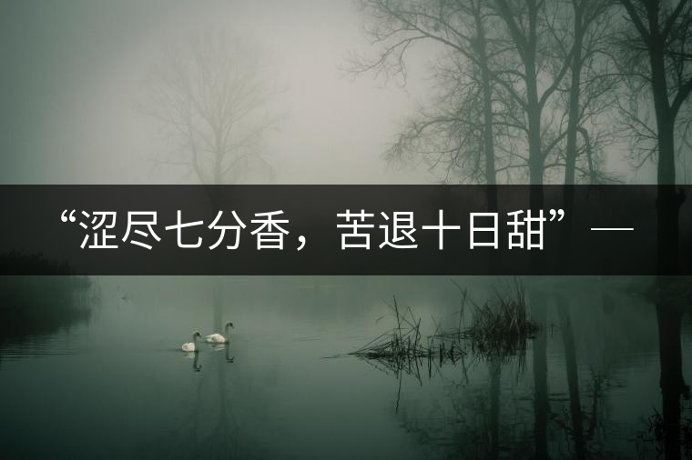 “澀盡七分香，苦退十日甜”─ 老曼娥