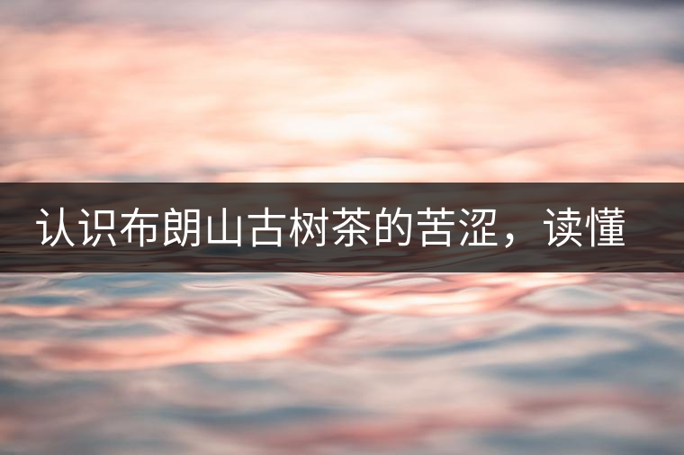 認(rèn)識(shí)布朗山古樹(shù)茶的苦澀，讀懂勐海普洱茶