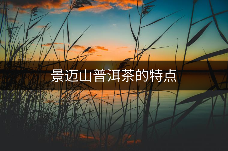 景邁山普洱茶的特點(diǎn) 景邁山普洱茶的特點(diǎn)