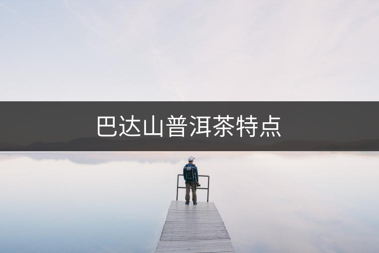 巴達(dá)山普洱茶特點(diǎn)
