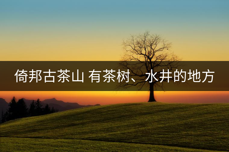 倚邦古茶山 有茶樹(shù)、水井的地方