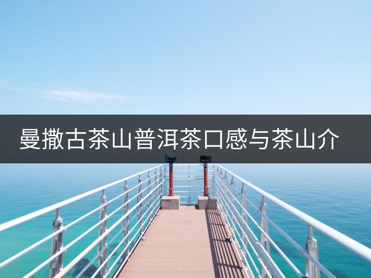 曼撒古茶山普洱茶口感與茶山介紹 曼撒古茶山普洱茶口感與茶山介紹