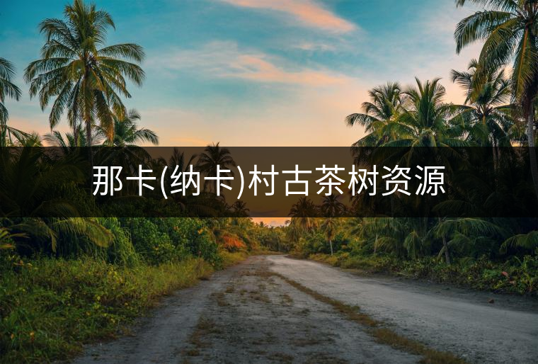 那卡(納卡)村古茶樹資源