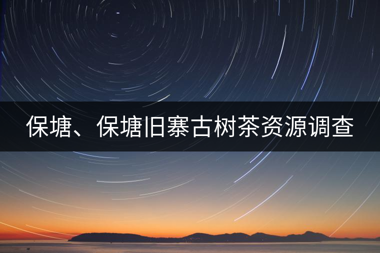 保塘、保塘舊寨古樹茶資源調(diào)查