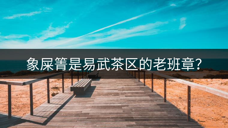 象屎箐是易武茶區(qū)的老班章？