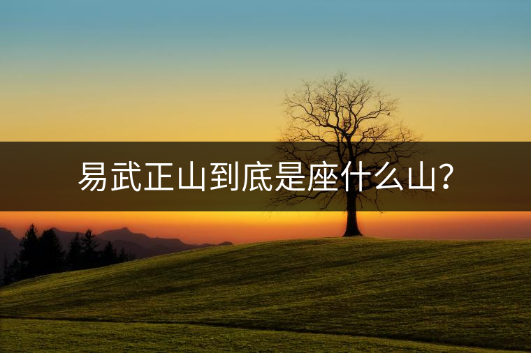 易武正山到底是座什么山？