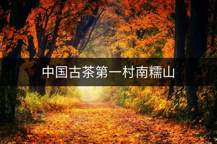 中國古茶第一村南糯山