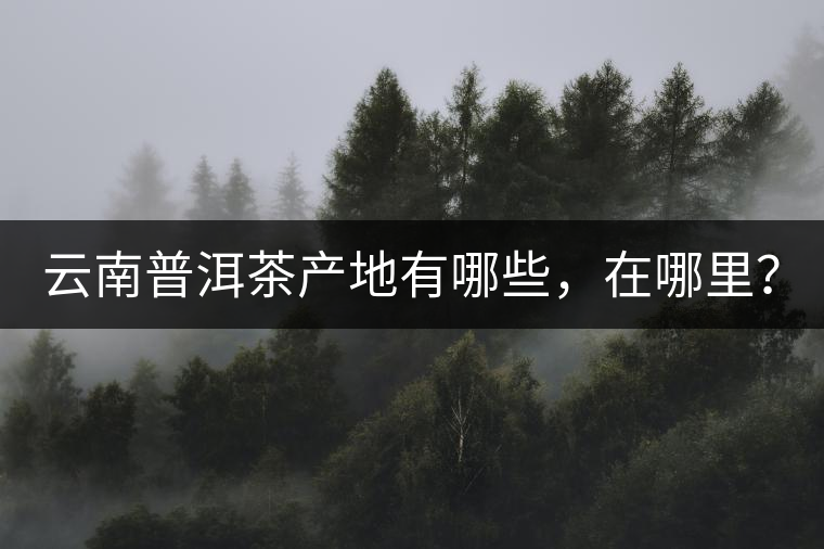 云南普洱茶產(chǎn)地有哪些，在哪里？