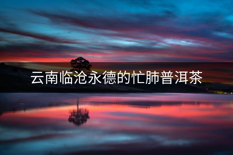 云南臨滄永德的忙肺普洱茶