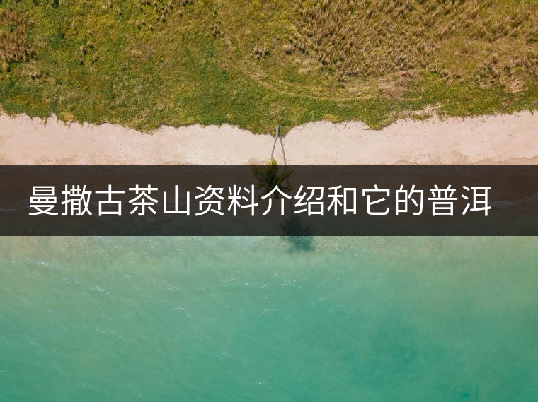 曼撒古茶山資料介紹和它的普洱茶口感 曼撒古茶山資料介紹和它的普洱茶口感