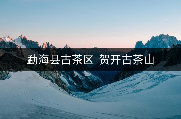 勐?？h古茶區(qū)  賀開古茶山