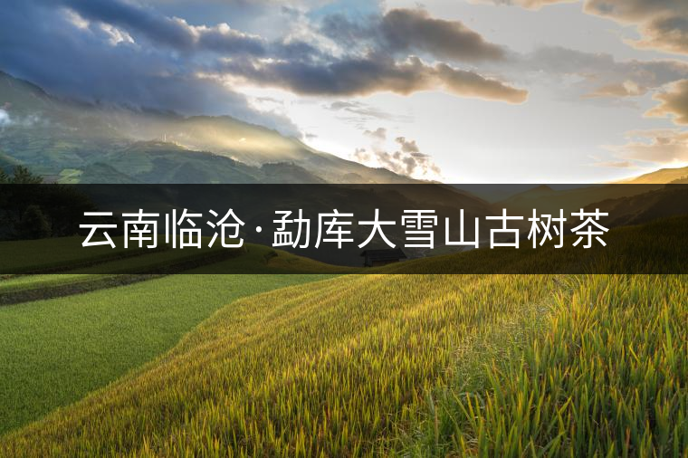 云南臨滄·勐庫(kù)大雪山古樹茶 云南臨滄·勐庫(kù)大雪山古樹茶