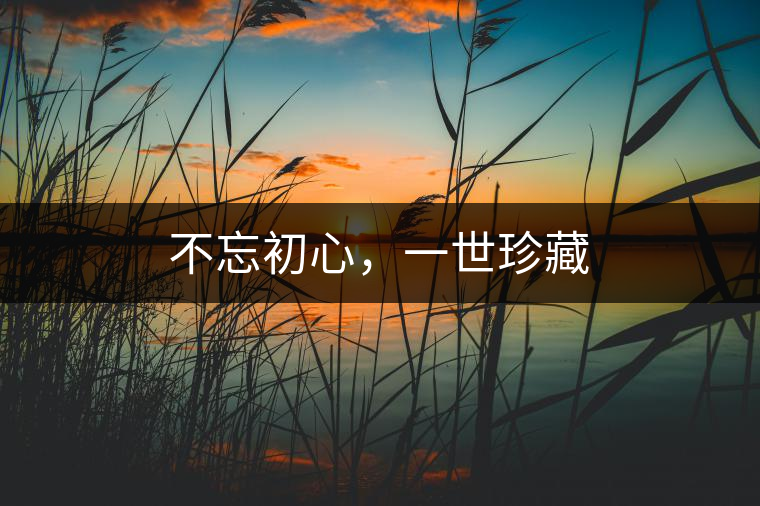不忘初心，一世珍藏