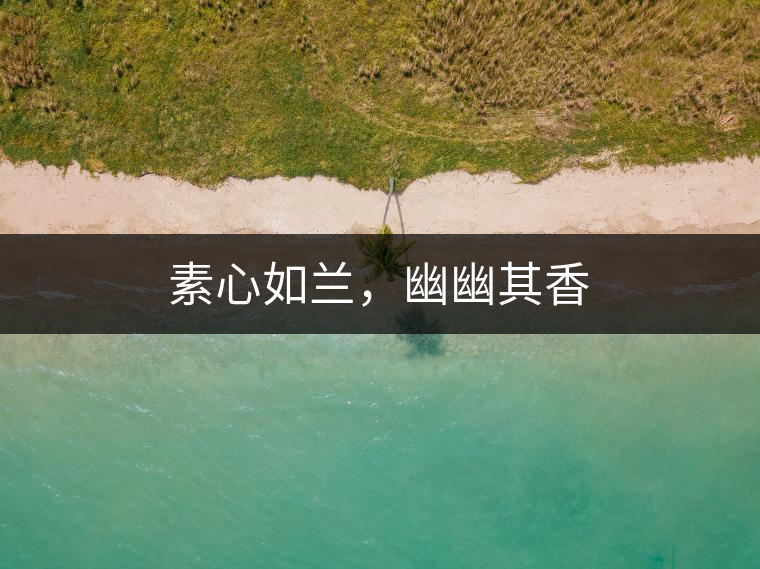 素心如蘭，幽幽其香