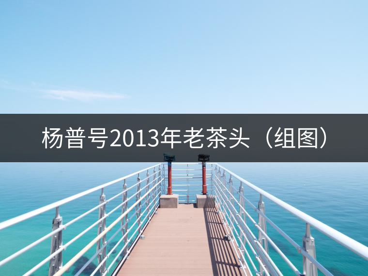 楊普號(hào)2013年老茶頭(組圖) 楊普號(hào)2013年老茶頭(組圖)