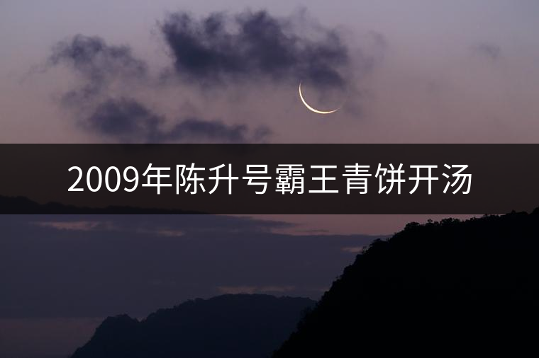 2009年陳升號(hào)霸王青餅開(kāi)湯 2009年陳升號(hào)霸王青餅開(kāi)湯